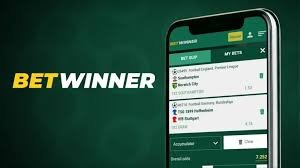 Comprehensive Guide to BetWinner Withdrawal Options -579447108 Comprehensive Guide to BetWinner Withdrawal Options -579447108