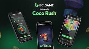 Comprehensive Overview of the BC App Revolutionizing Mobile Technology