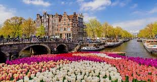 FA Avreugdenhil Uw Betrouwbare Financieel Adviseur 377147566
