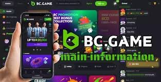 Explore the Exciting World of BC.Game Online Casino 696130988