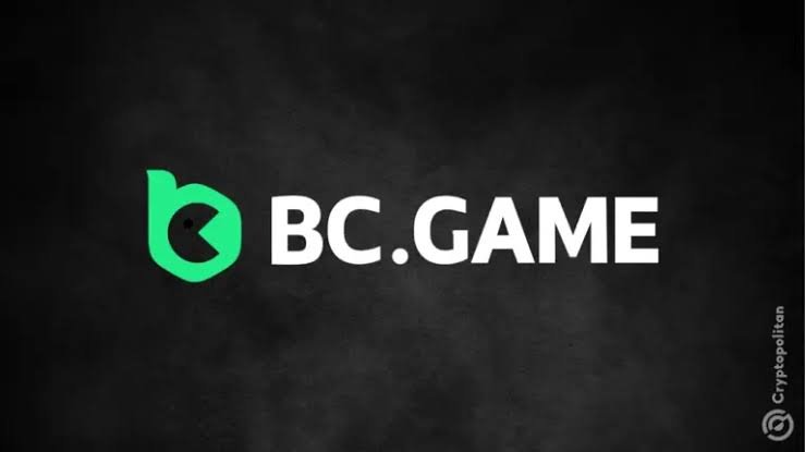 Understanding BC.Game Verification A Comprehensive Guide 803652724